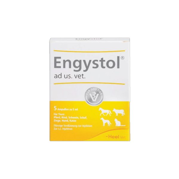 Engystol Ampules