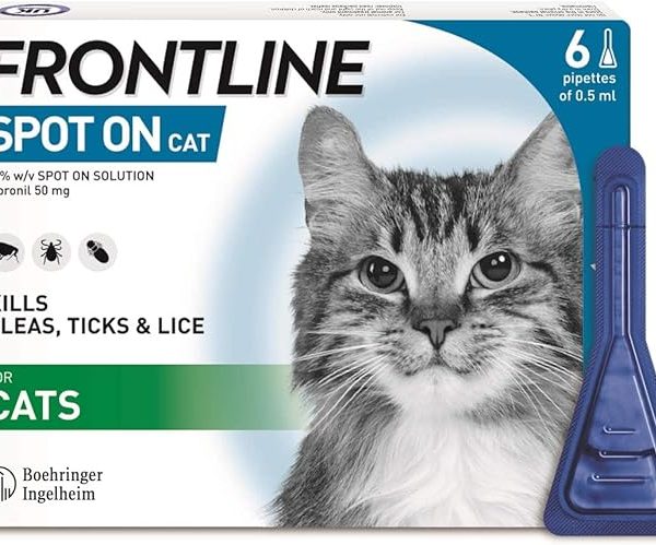 Frontline – Spot On Cat