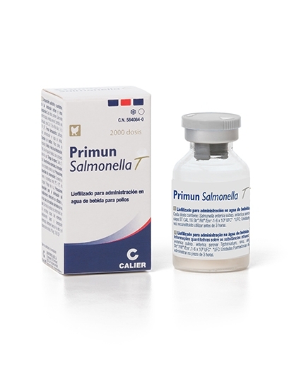 Primun salmonella T