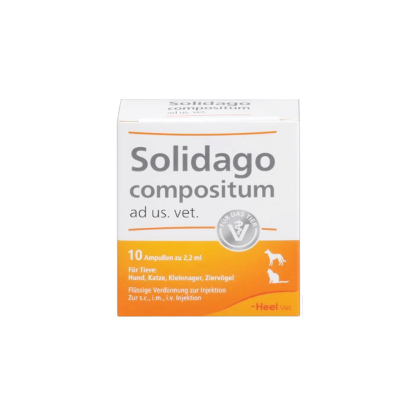 Solidago Compositum Injection