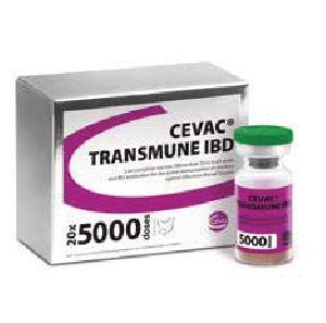 CEVAC® TRANSMUNE IBD