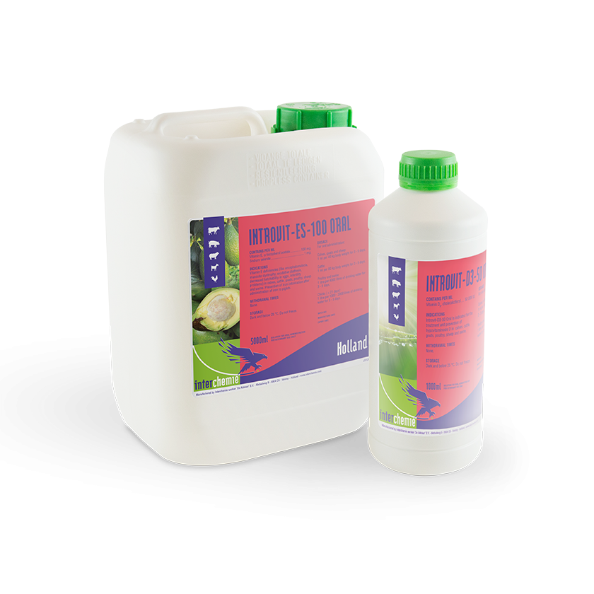 Introvit-ES-100 Oral