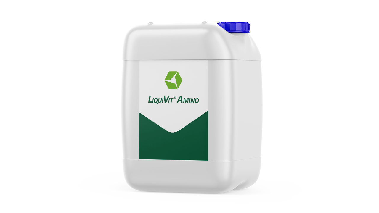 LiquiVit® Amino