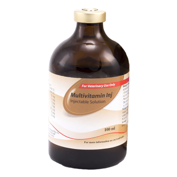 Multivitamin Inj