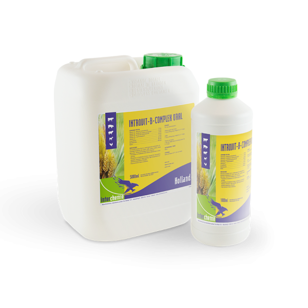 Introvit-B-Complex Oral