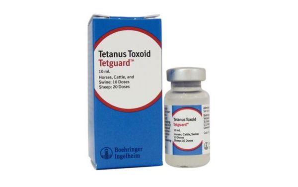Tetguard Tetanus Toxoid Vaccine