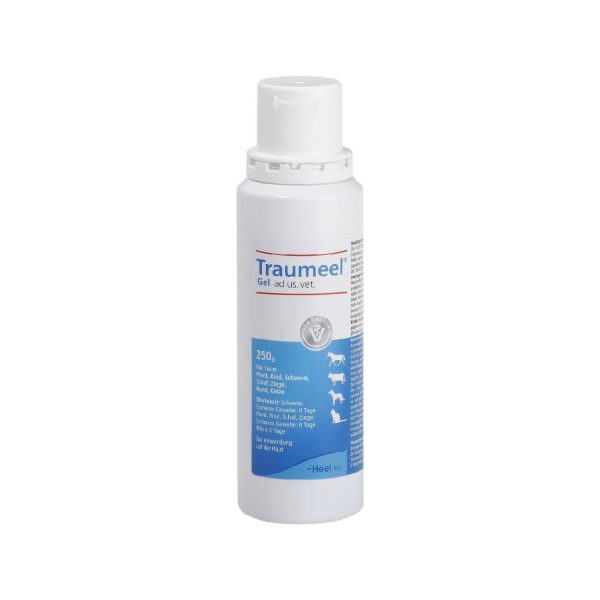 Traumeel Gel 250gm