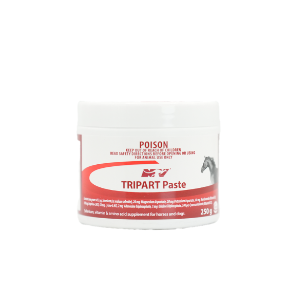 TRIPART PASTE